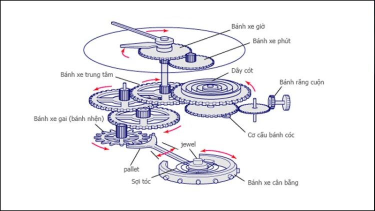 Đồng Hồ Cơ Là Gì? Cách Hoạt Động & Bảo Dưỡng Đúng Cách 9 kham pha cau tao dong ho co nguyen ly hoat dong 3 800x450 1
